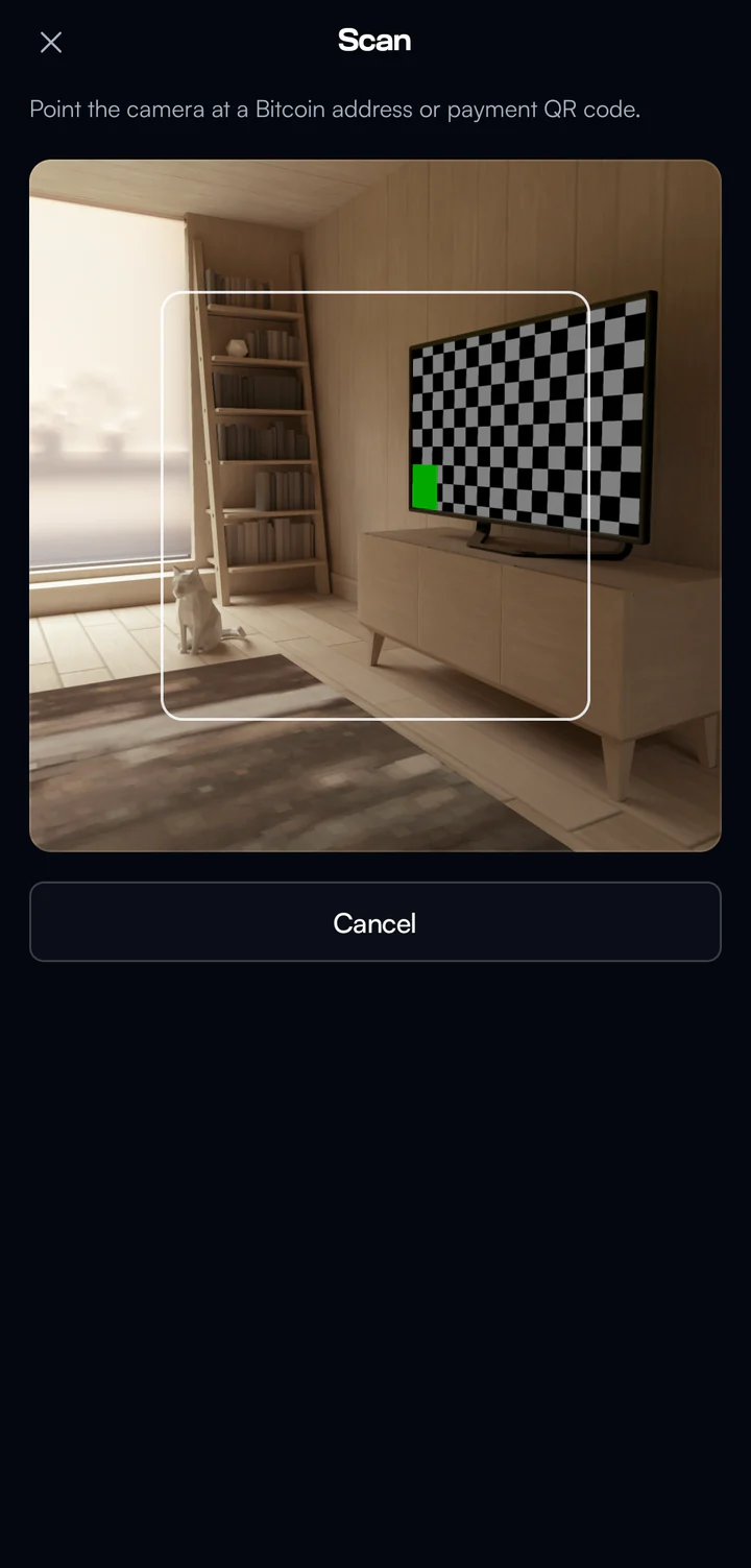 Scan screen: the camera framing a payment QR code